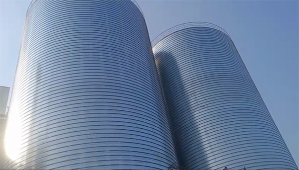 宁洱2座混凝土高架卷板仓